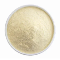 Dehydrated Mango Powder